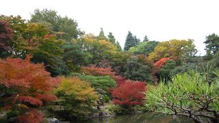 六義園　もうじき紅葉の季節