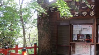 動物好きには絶好の場所。