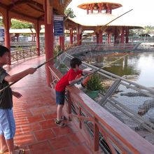 楽しかった〜ワニ釣り