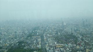 話のネタにはなるかな～