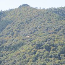 嵐山の中腹にあります。屋根が見えます。