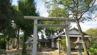 初秋の児神社。