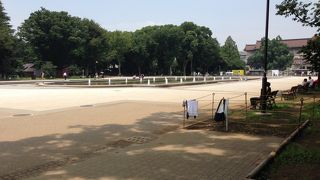 緑がいっぱいの公園です