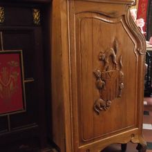 クアトラ・ガッツ