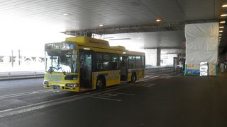 がわいい黄色いバス♪