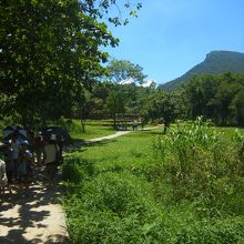 こんなところに何があるのだろう