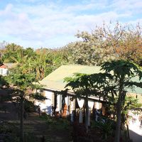 客室からの眺め