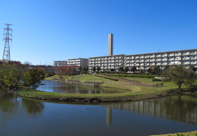 小畔水鳥の郷公園 クチコミ アクセス 営業時間 川越 フォートラベル