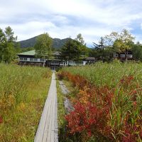 尾瀬ヶ原に面した大きな小屋です