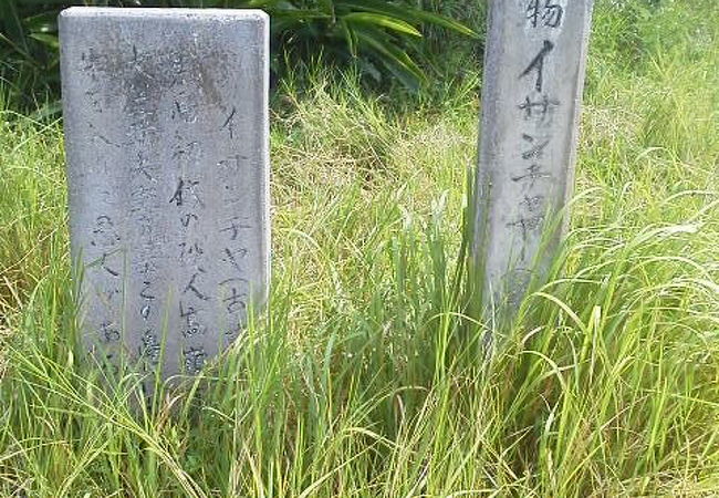 路脇からここまでとげに注意です「イサンチャ」～黒島～