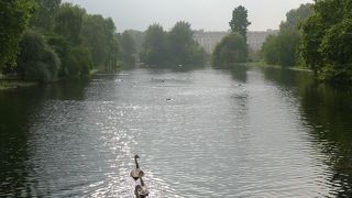 いろいろな動物に会える！