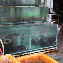 海老と魚も美味しそうです。中で食べられるみたいです。