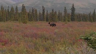 次はガイドツアーに行ってみたい