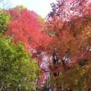 市街地一番の紅葉名所