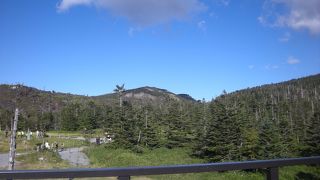 ”縞枯れ現象”で覆われている「縞枯山 （シマガレヤマ）」