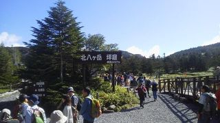 北横岳へ散策も「坪庭」～蓼科～