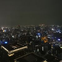 遠くに葛西臨海公園の観覧車が見えます