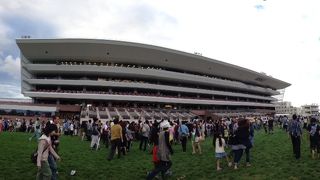リニューアル後の札幌競馬場