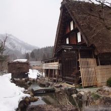 近くから見るとこんな感じ