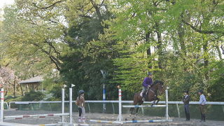 桜の時期以外でも楽しめます