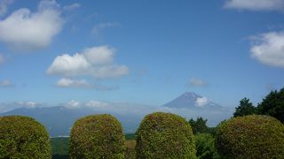 子供も楽しめそうです