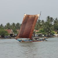 近くの海を帆走するカタマラン