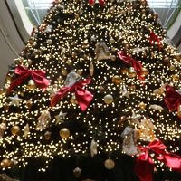 ロビーのクリスマスツリー