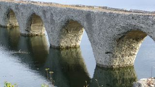 森の向こう側の・・・