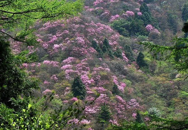 西赤石山