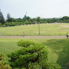 子どもたちが喜びそう