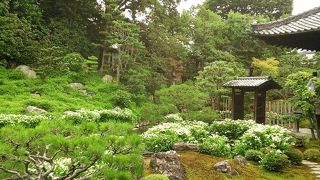 日本で初めてお饅頭が作られたお寺