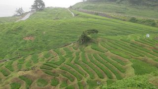 海外の方にも見せたい美しい日本の風景