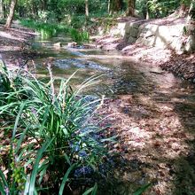 糺の森を流れる古の小川