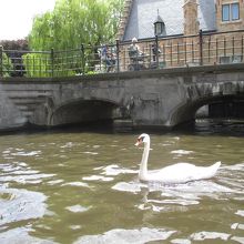 景色がきれいです