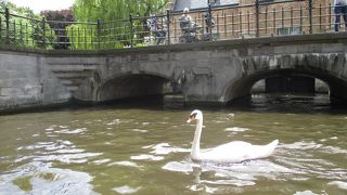 水辺からの観光