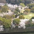 春は桜の眺めが見事です。