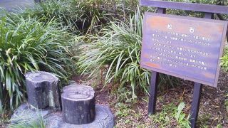 何かよくわからないような「日比谷公園 松石」