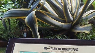 都会の中で「日比谷公園 第一花壇 ペリカン噴水」