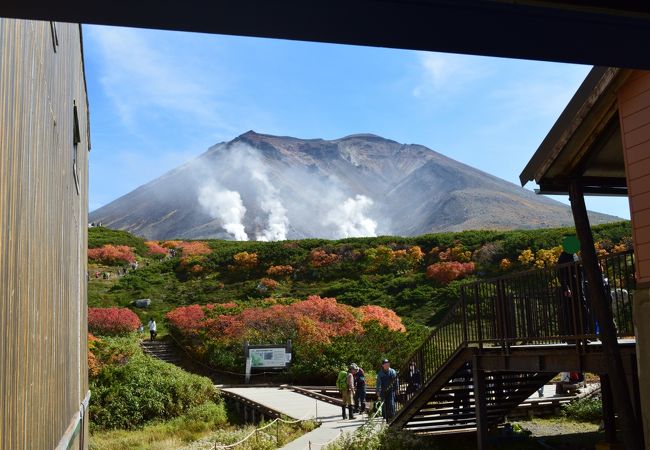旭岳ロープウェイ クチコミ アクセス 営業時間 旭岳 天人峡 白金 フォートラベル 旭岳ロープウェイ クチコミ アクセス 営業時間 旭岳 天人峡 白金 フォートラベル