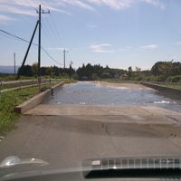 牧場敷地内に入る際の消毒路