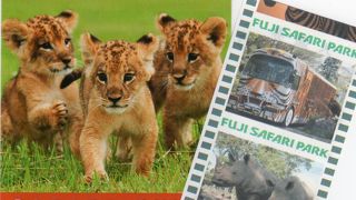 当日(休日）のお得なチケット