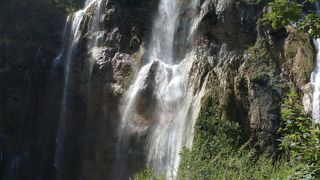 シンボル的な存在