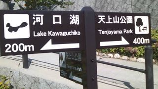 実は色々と遊歩道も整備されています