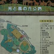 大きな恐竜のすべり台のある公園