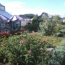 ハーブ園内の様子