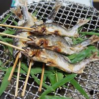 鮎の塩焼き。笹がしいていて風情があります。