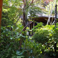 このようなお庭を通りお風呂やお部屋に行きます。