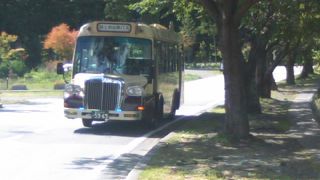 フリーきっぷの利用が便利ですが、現金での乗車も可能です