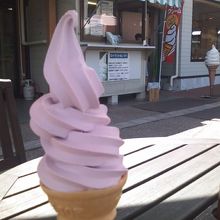 巨峰ソフトと販売カウンターの様子