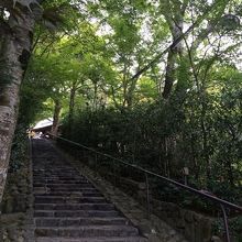 9月ですが、緑がとても鮮やかです。